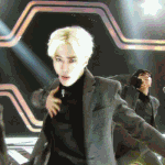 [EXO] 투표하는애들티켓팅성공소취