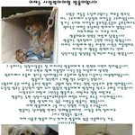 [유기견사랑] [유기견임보일기] 2살 <b>혼종</b> 방울이를 임시보호하며....