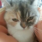 [<b>달</b>콩이] <b>달</b>콩이의 취미생활