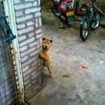 [<b>some</b>] 저 여기있다고 말 하지마세요...