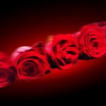 모바일 무협게임 하시는 분들 계신가요??