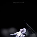 [EXO] 종인이는진짜 춤이<b>예술</b>인듯