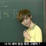 [EXO] 지금 멤버 <b>칭찬</b>하면 악개로 몰림