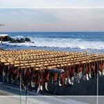 신천지가되어가는포항<b>죽도</b>시장~놀러오이소~