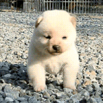 [EXO] 2048 <b>한판</b>만 해야지