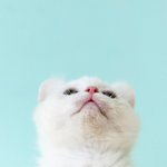 다리안쪽살빼는운동 잠실 미<b>소진</b>에서 혼자서도할수있는것 소개 gogo...