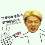 [EXO] 백현 일반인여친<b>의심</b>되는애있어 