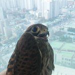 [EXO] 어제 낮에 새<b>잡음</b>ㅋㅋ
