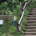 최고의여행이였던 <b>울릉도</b>