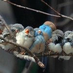 사랑스러운 아기 <b>동물</b> 사진들