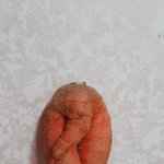 [너는누구냐] 나의 <b>정체</b>성~~인삼이가 되고싶어요