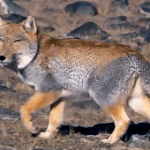 [EXO] 근데 나 진짜 최애 <b>따귀</b> 없어...