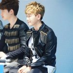 [백현] <b>햇빛</b>이 싫은 멍뭉이