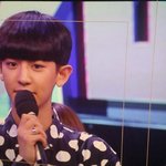 [EXO] 존나 키우고싶다 큰애기