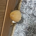 [꼭봐주세요] <b>저의</b>집 화장실에 일주일에 한번씩