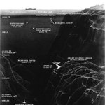 [공미니] 바닷속 심해어와 심해생물들