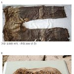 [피씨<b>레몬</b>] 세상에서 가장 오래된 것들