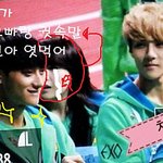 [EXO] <b>방민아</b> 여우년 타오한테