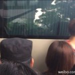 [EXO] 헐 백현이 오늘 사과머리ㅠㅠㅠㅠㅠㅠㅠㅠ