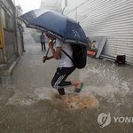 [EXO] 이년 길가다 <b>벼락</b>맞을년임