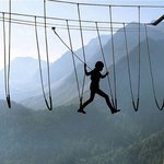 [추억파리여] <b>스릴</b>을 즐기는 사람들