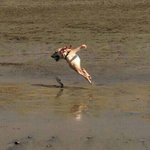 [공포베스트] 약혐)공포의 <b>파노라마</b>