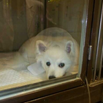 한생명의 목숨살리기 1000명의 기적 프로젝트에 <b>동참</b>해주세요 >