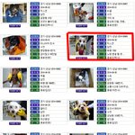 (<b>성남</b>보호소)다시 시작 할수 있는 기회가 필요합니다.