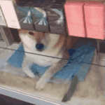 [<b>미미</b>쨩최고] 뭐 드릴까요?