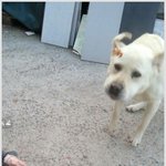 [<b>미미</b>쨩최고] 치킨먹자~