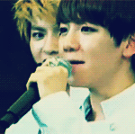 [EXO] <b>전설</b>의나귀여워요?짤