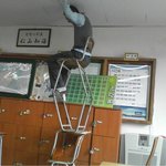 [<b>틴</b>펫스토리] 고딩들의 흔한 쉬는 시간