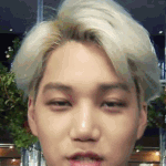 [EXO] 나한테서 제발 관심좀 꺼줄래