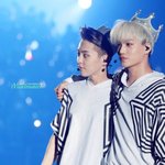 [팬픽] 세슈카슈세 아닌 카슈픽 추천!