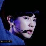 [EXO] <b>감사</b>합니다. 열심히 살겠습니다.
