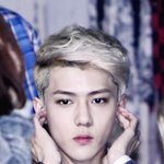 [EXO] 세훈이 이거 <b>엘프</b>같애