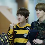 [백현] 주니엘-귀여운 남자 백현 ver.