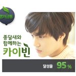 [카이] 카이빈 95%다 콩털자! 