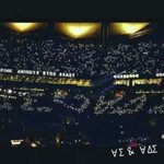 [비스트] <b>판정</b>화