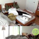 [EXO] 이거<b>착시</b>쩔어..