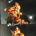 [BAP] [속보] 방용국 티거와 공개연애...'충격'