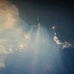 [자취요리] 김치볶음밥황금레시피