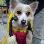[<b>성남</b>] 다시 시작 할수 있는 기회가 필요합니다.