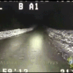 [추억파리여] <b>도로</b>위의 수상한 개