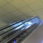 <b>실수</b>로 잘못 지어진 것들.jpg