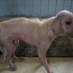 어둠속에서 죽는날만 기다리며 살아온아이들