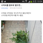 [틴펫스토리] 화분에 <b>수박씨</b> 뱉으면.jpg