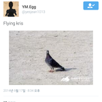 [EXO] 용민<b>트위터</b><b>봄</b>? ㅋㅋㅋㅋㅋㅋㅋㅋㅋㅋㅋㅋ