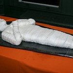 별로 먹고싶지 않은 특이한 <b>케익</b>들