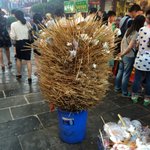 [공포베스트] 대륙의 <b>꼬치</b>집 쓰레기통